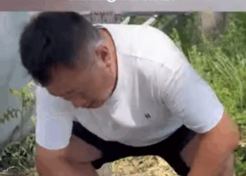 C1707002 He is very afraid of humans