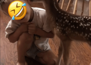 C0108007 Starving, freezing, and left to die – you won’t believe what we found part2