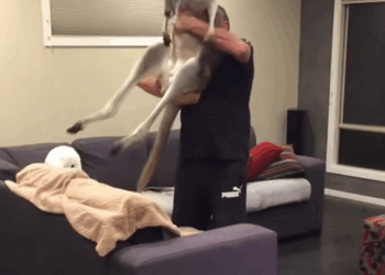 C3007005 Trapped under debris for days without food or water part2