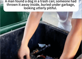 C3007013 A miracle happened when everyone else had given up part2