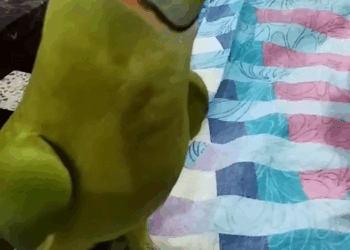 C2907006 Forgotten, bleeding, and cold — this animal clung to life part2