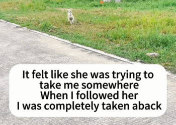 C0108011 Dumped in the middle of nowhere — watch what happened in the final hour part2