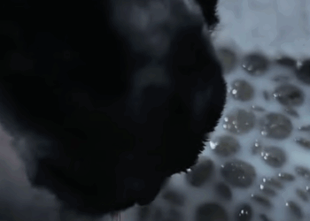 C2207005 This tiny soul was gasping for air… and no one noticed part2