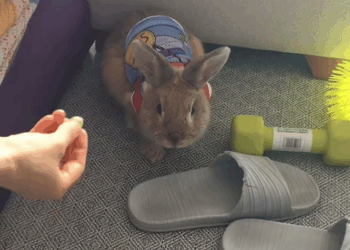 C2708008 It’s wonderful that he continues to live and be happier _part2