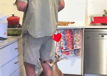 C3008015 woman rescued baby kangaroo and then this happened_part2