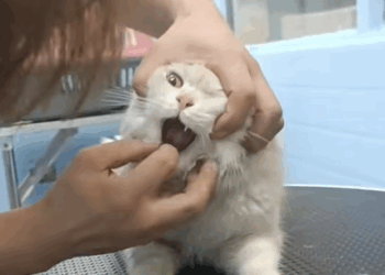 C0208007 People ignored it… but we stopped_part2