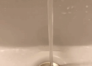 C0308002 Abandoned, bleeding, and frozen – we had seconds to save it part2