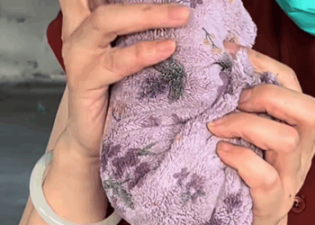 C1209009 I found a wounded kitten and took it to the hospital immediately to home_part2