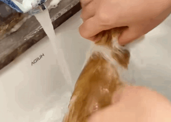 C1209011 One night I heard a sound in the grass by the roadside.It turned out_part2