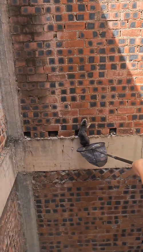 C1309014 This man saved a kitten from a very dangerous place_part2