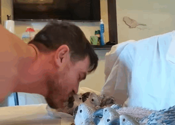 C1709007 Kind hearted man rescues parrot cubs_part2