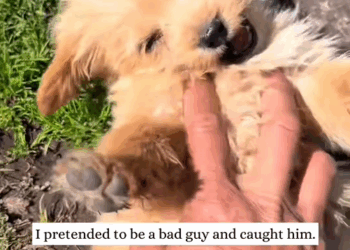 C2409009 puppy chose me then #animal #rescue #puppy #fyp_part2