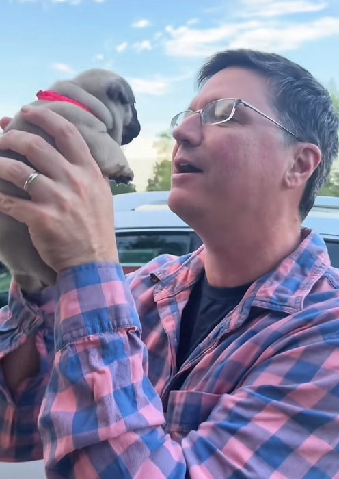 C2509004_Poor puppy. #rescueanimals #animals #puppy #rescue_part2