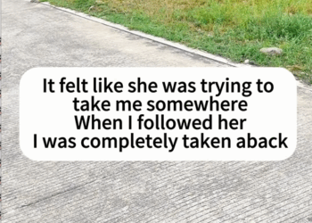 C2509024_Stray dog rescue#dog #dogs #doglove #dogsoftiktok #rescuedog #cutedog…_part2