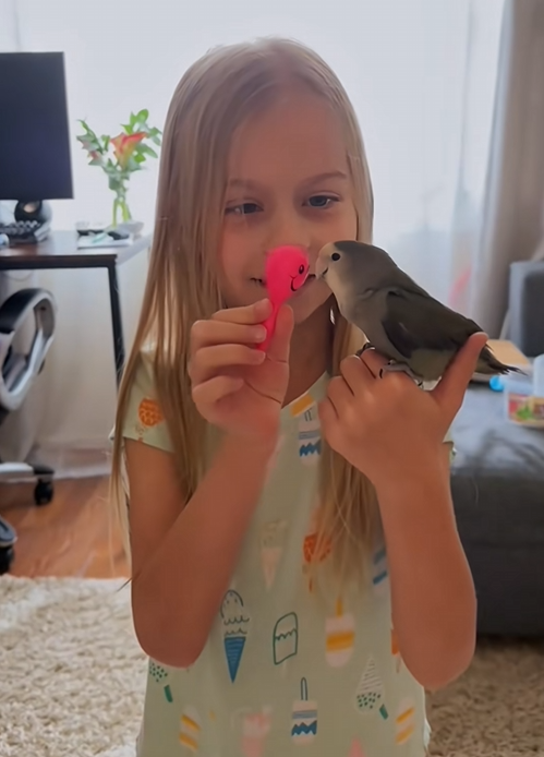C2709015 saved bird happy ending _part2