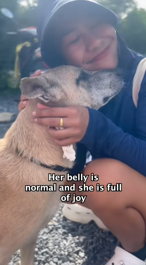 C3009006 Her stomach was of kg of poop we saved her life, now ._part2