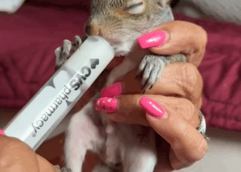 C1109007 Girl received a surprise gift dropped from ceiling _part2