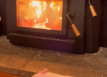 C0509010 saw piglet hanging dangerously from truck and then.._part2