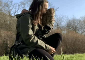 C1109015 This couple rescued an owl stuck in car and adopted it_part2