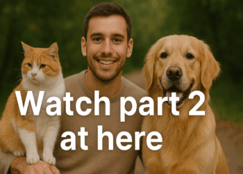 C0510002 Animal skin torn and bleeding heavily_part2