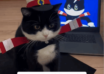 C0910005_Rescue car being bullied by bird_part2