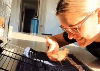 C0910011_When its wings were ready, he smiled let it fly free. #rescue #re…_part2