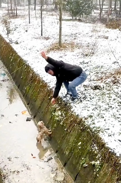 C0110015 Rescuing an abandoned dog in snow rain_part2