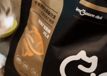 C1010014_Man rescue kitten decided to adopt it_part2