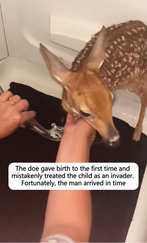 C1110012_doe gave birth to first time mistakenly treated child…_part2