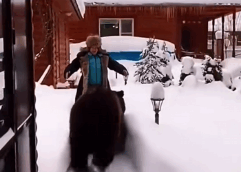 C1310018_Heartfelt reunions between rescued animals their beloved caregive…_part2