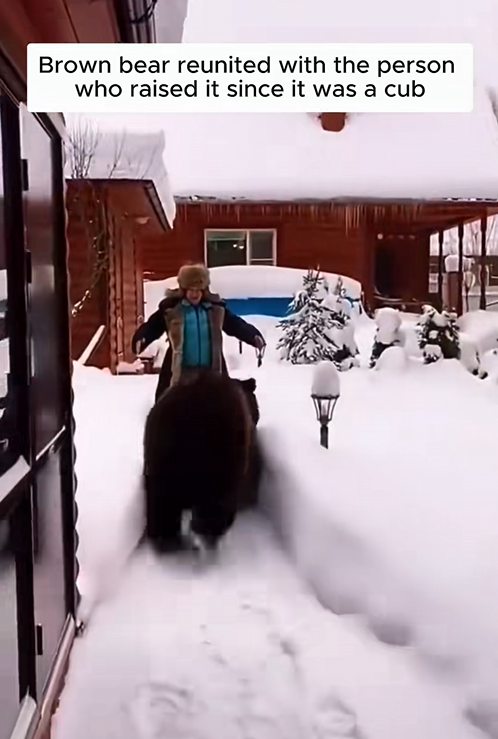 C1310018_Heartfelt reunions between rescued animals their beloved caregive…_part2