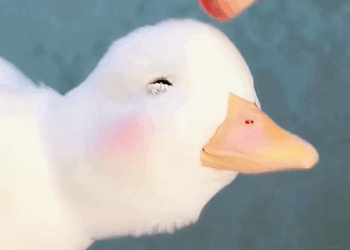 C1310019_Duck pet #duck #ducksoftiktok #shorts #pets #petsoftiktok #lovepet #r…_part2