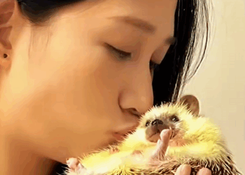 C1310026_kind girl rescued trapped hedgehog #hedgehog #hedgehogsoftiktok_part2