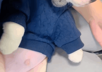 C1410003_Rescue poor puppy #rescue #fyp #animals #animals #save #animalsresc…_part2