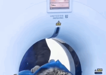 C1610006_leopard rescue#rescueanimals #animals #aninalsoftiktok #newspaper_part2