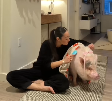 C1610007_How kind boy saved pig#rescue #animals #rescuedeersoftiktok #pig_part2