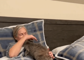 C1710005_Rescue baby kangaroo lost its mother #rescue #rescueanimals #animal…_part2