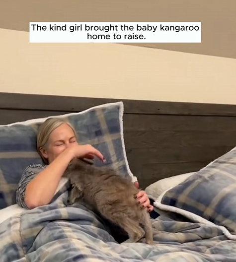 C1710005_Rescue baby kangaroo lost its mother #rescue #rescueanimals #animal…_part2