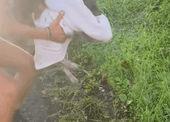 C2310002_Its eyes told a story of pain_part1