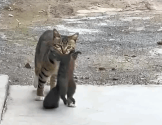 C2310003_No one came to save it_part1