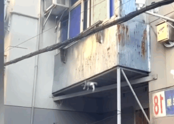 C2310007_The last breath of a helpless animal_part1