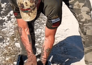 C2310013_Man adopts skunk while at work ._part1