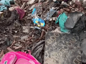 C2310016_The animal that lost all hope_part1