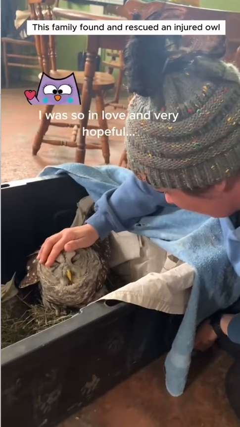 C0210020_family found rescued an injured owl #animals #rescueanimals_part2