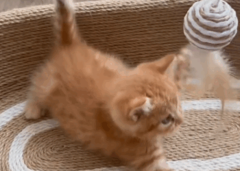 C2410003_Hi mom, miss you _part2