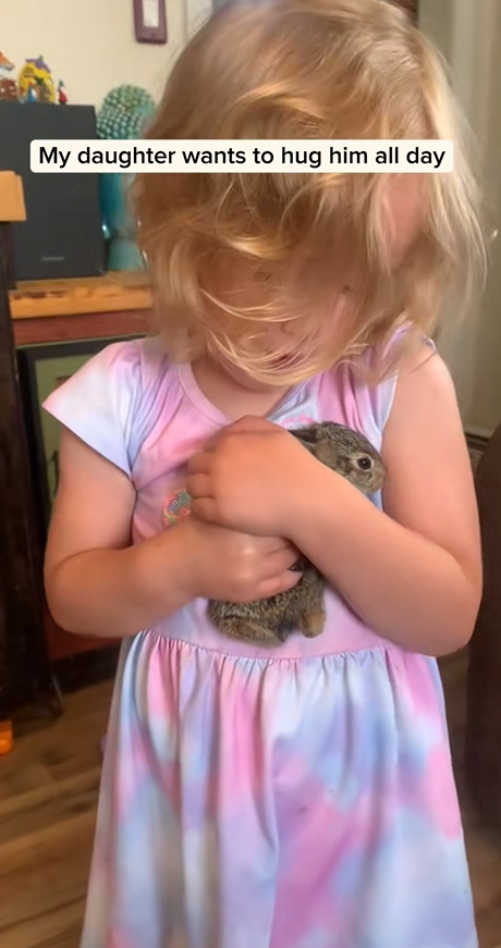 C2510015_My dog found baby rabbit adopted it #animal #rescueanimals #a…_part2