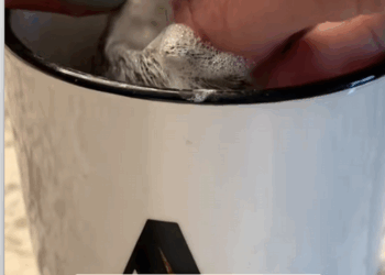 C2510021_My husband found baby squirrel stuck in his car #animal #rescueanim…_part2