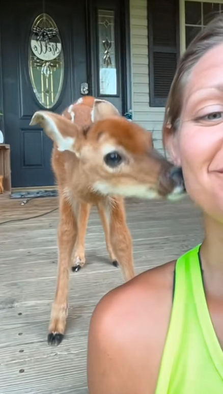 C2510025_Girl rescued baby deer lost its mother #animal #rescueanimals #anim…_part2