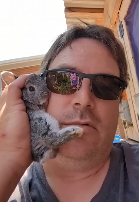 C2510029_Man found baby rabbit in backyard #animals #animalsoftiktok #an…_part2
