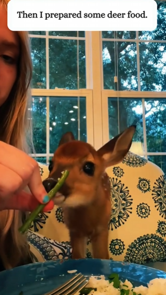 C2610009_rescued fawn had fallen into pit, then…#fyp #rescue_part2